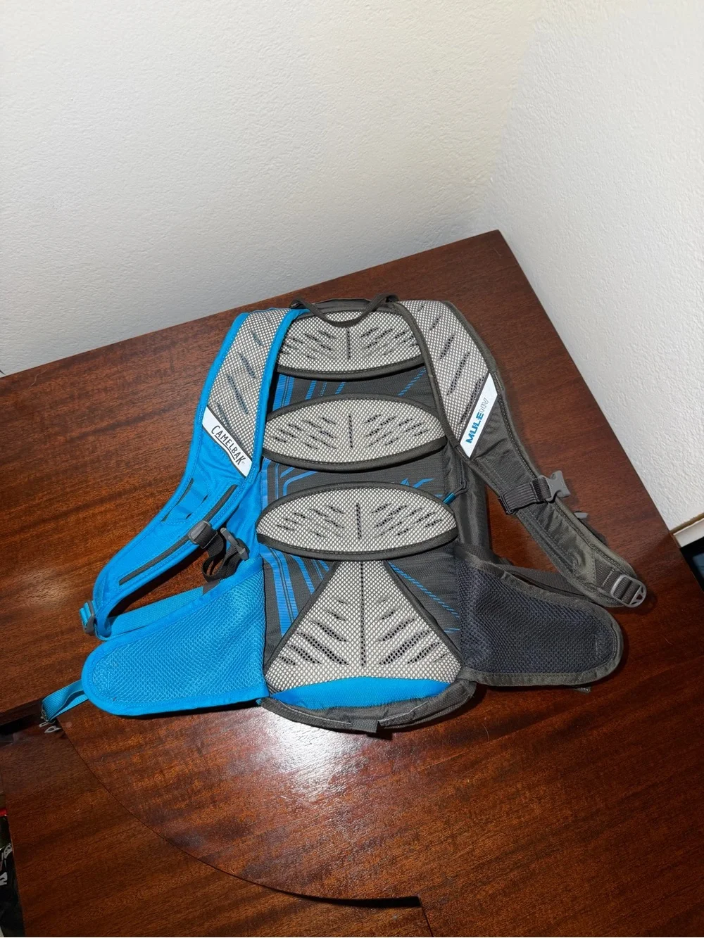 CamelBak M.U.L.E. NV